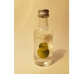 Absolut Pears 0,05l 40%