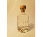 Aeijst Styrian Pale Gin 0,04l 43,5%